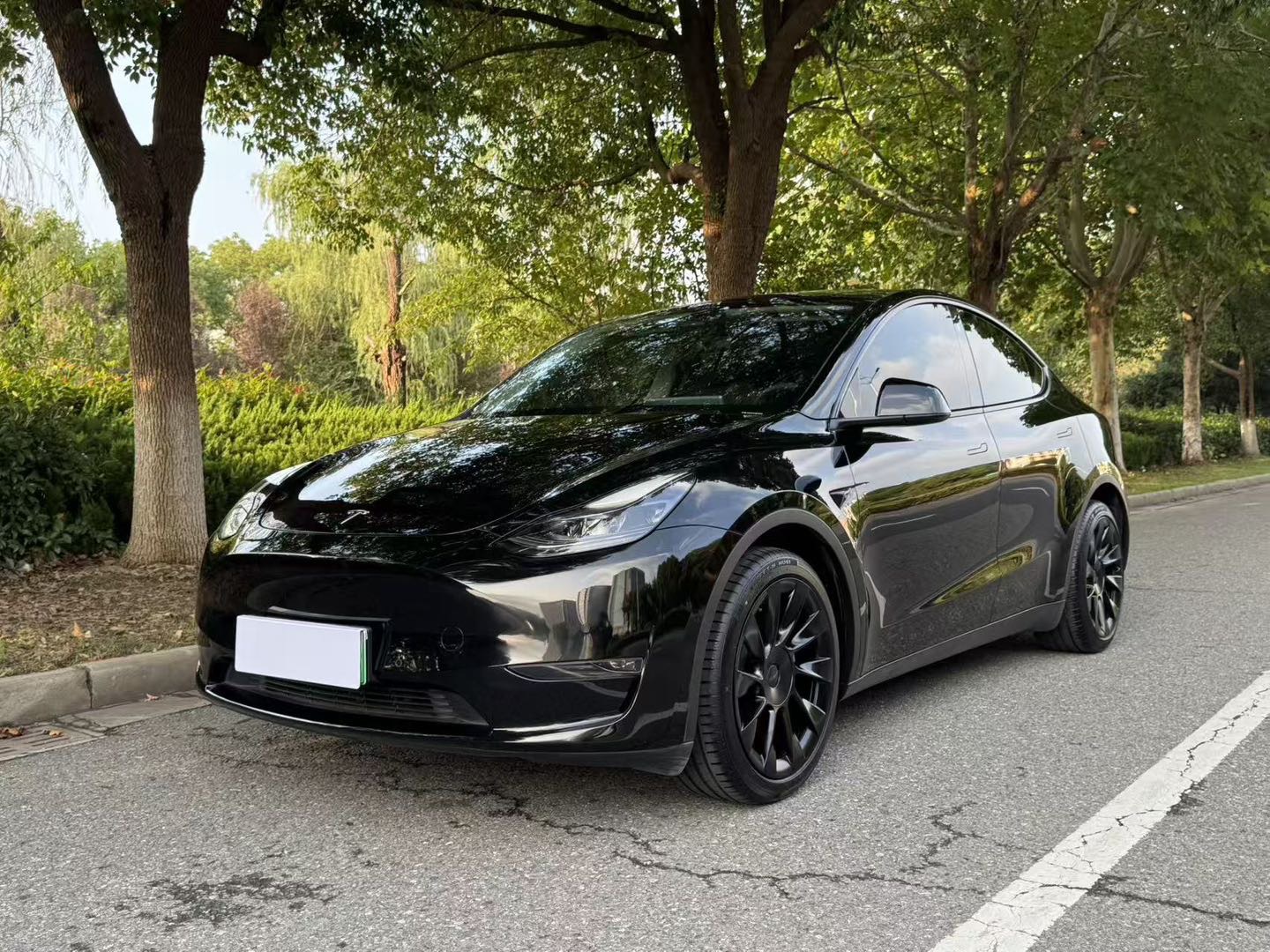 Tesla Model Y 2021 Tesla Model Y 2021 car image
