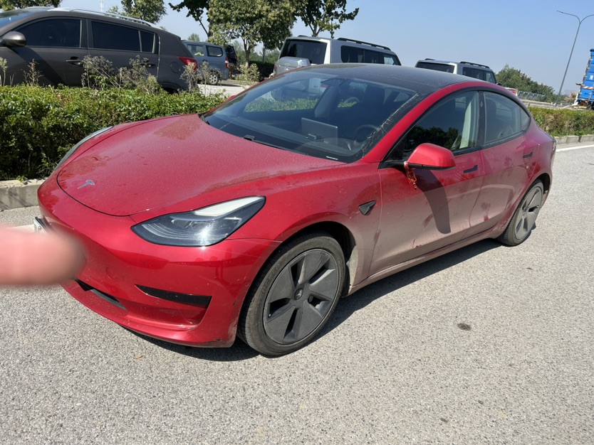 Tesla Model 3 2021 Tesla Model 3 2021 car image