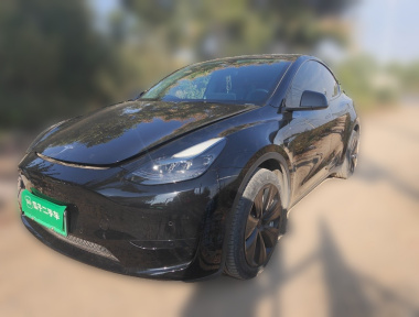 Tesla Model Y 2022 Tesla Model Y 2022 car image