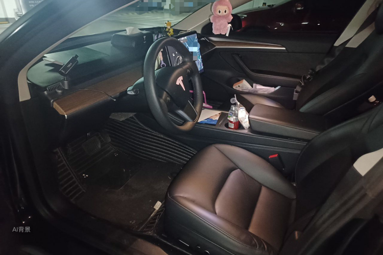 Tesla Model 3 2021 car image #17