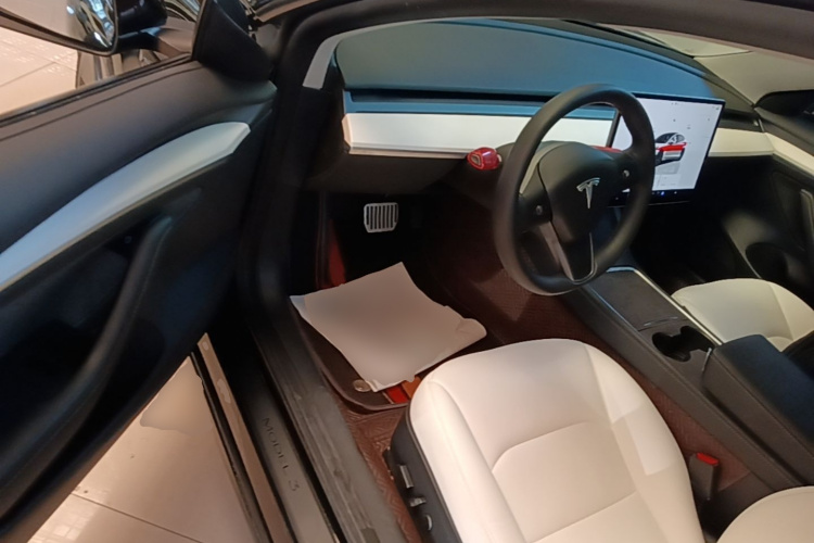 Tesla Model 3 2022 car image #16
