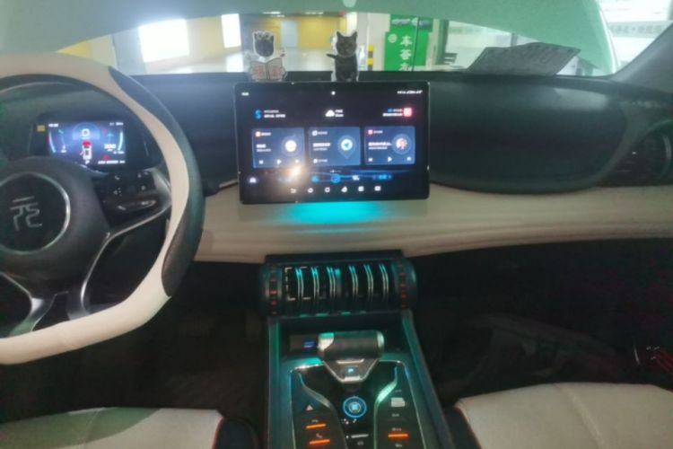 BYD Yuan Plus 2023 car image #13