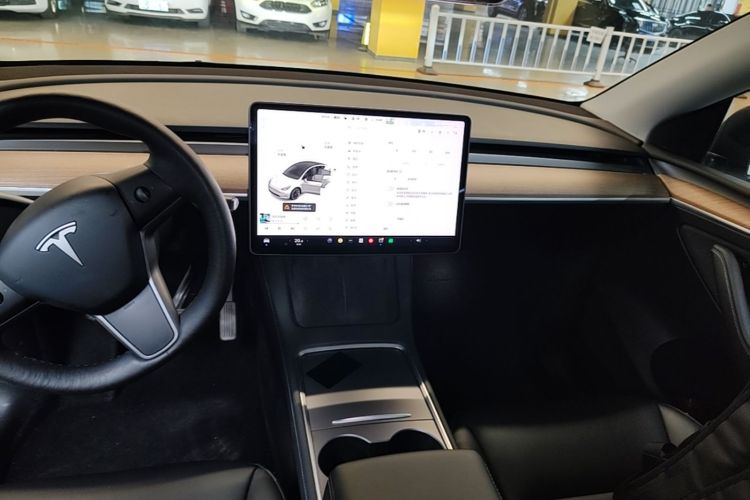 Tesla Model Y 2021 car image #13