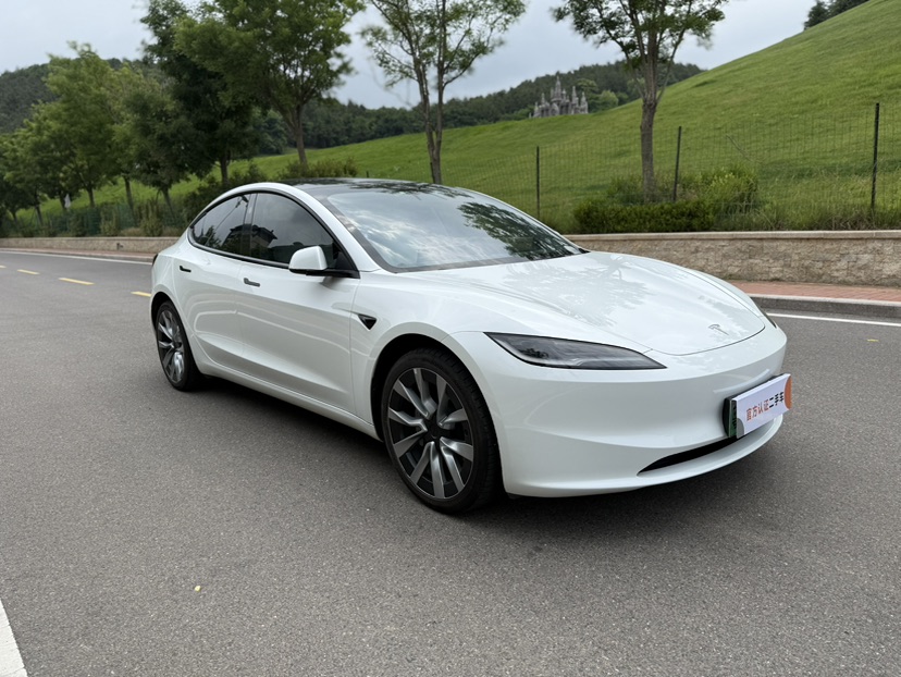 Tesla Model 3 2023 #3 Tesla Model 3 2023 car image #3