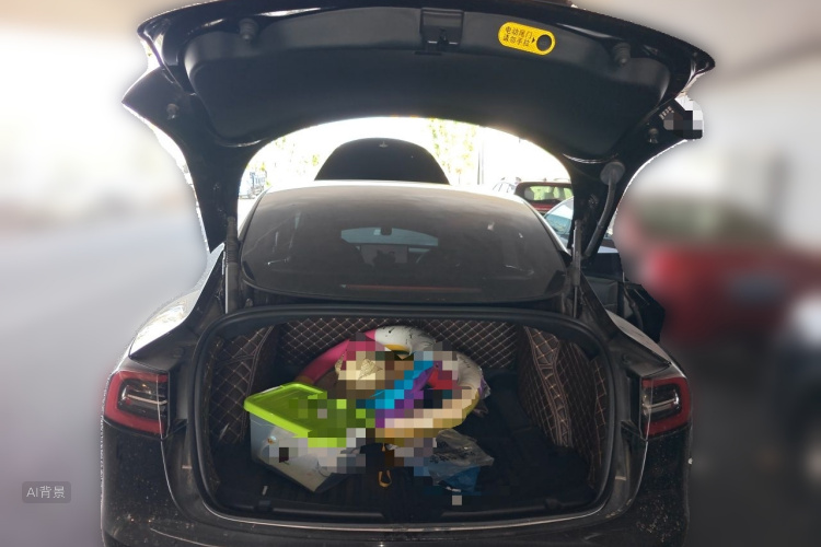 Tesla Model 3 2023 car image #21