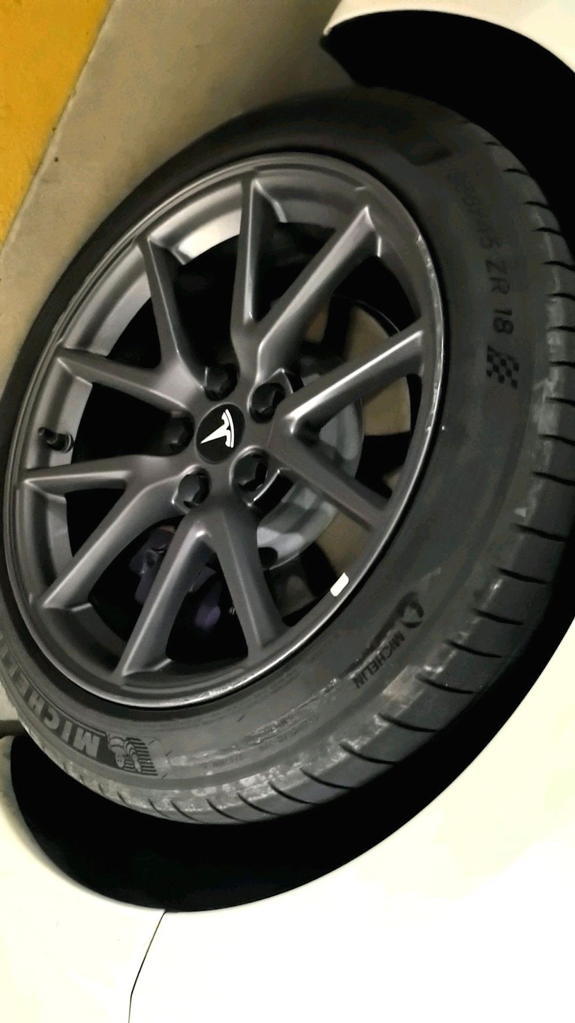 Tesla Model 3 2023 #4 Tesla Model 3 2023 car image #4