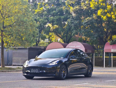 Tesla Model 3 2021 Tesla Model 3 2021 car image