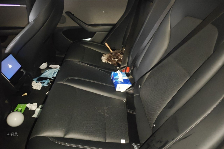 Tesla Model 3 2023 car image #19