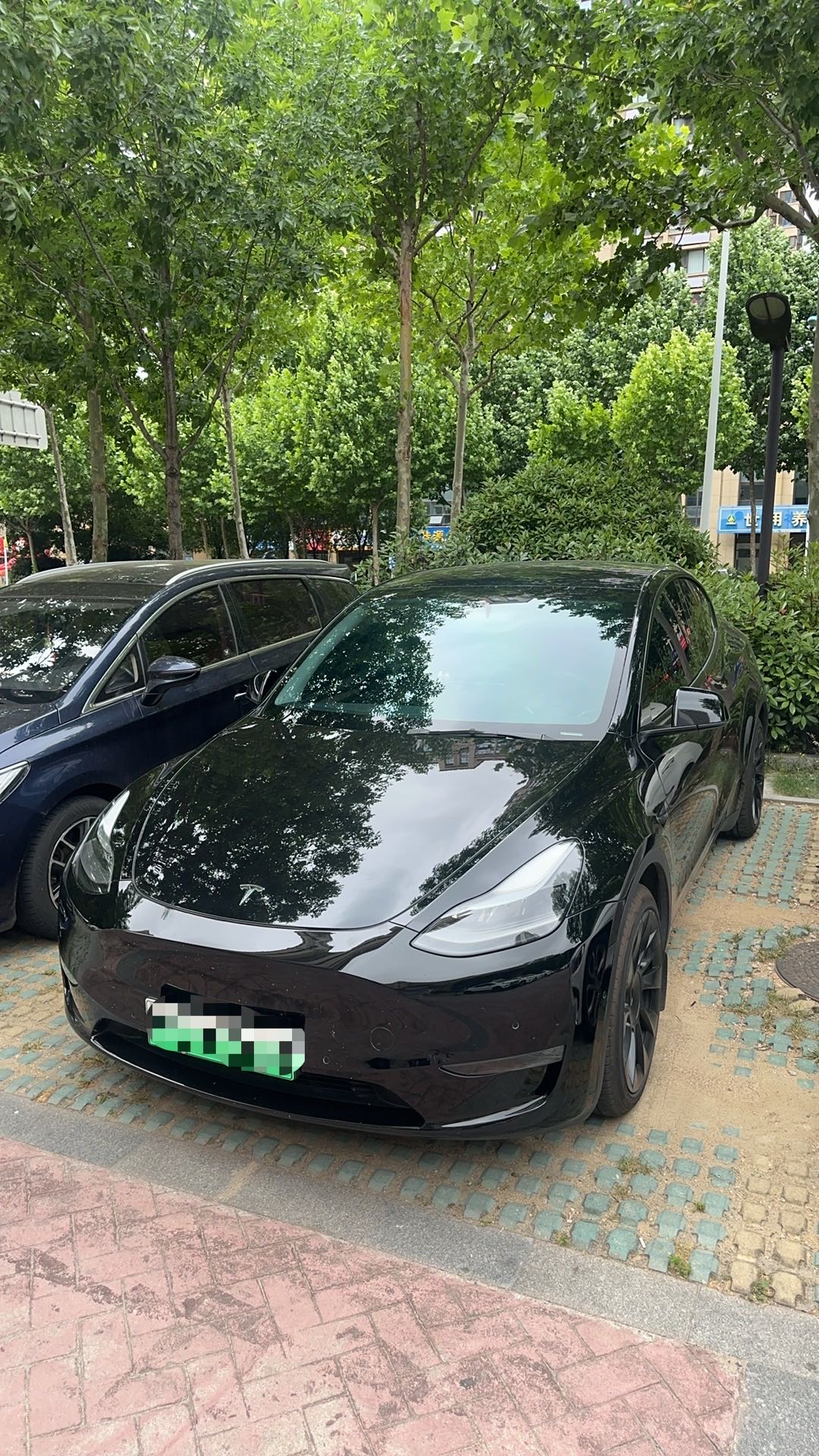 Tesla Model Y 2022 Tesla Model Y 2022 car image