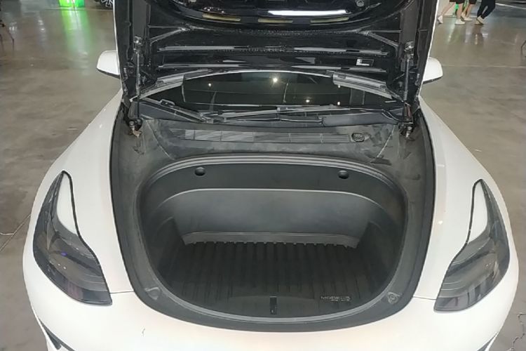 Tesla Model 3 2021 car image #20