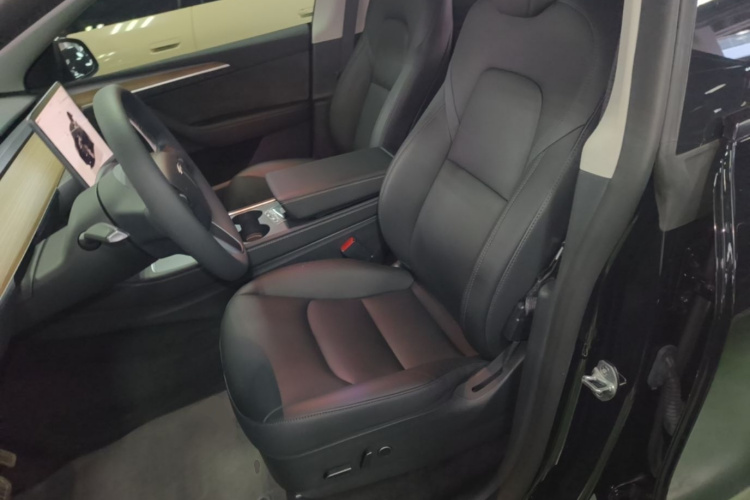 Tesla Model Y 2022 car image #15