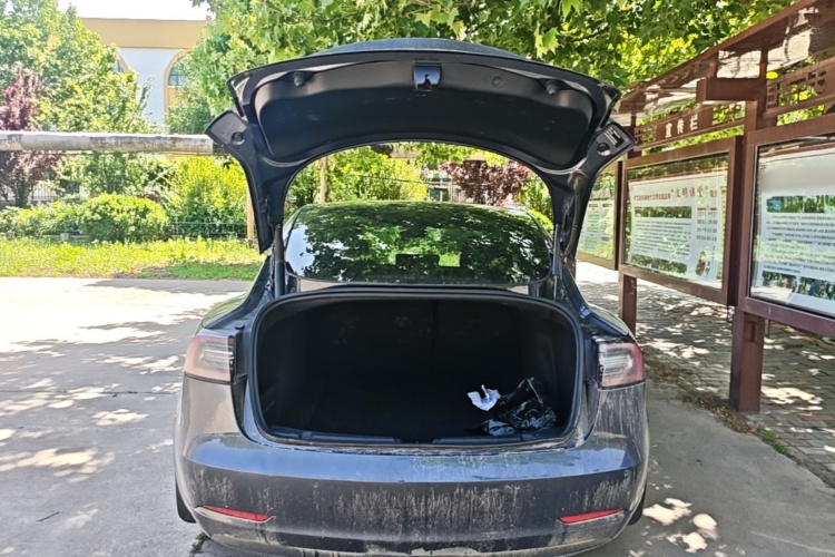 Tesla Model 3 2021 #19 Tesla Model 3 2021 car image #19