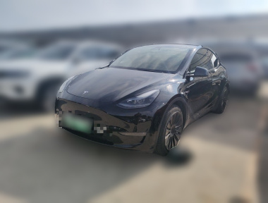 Tesla Model Y 2021 car image 