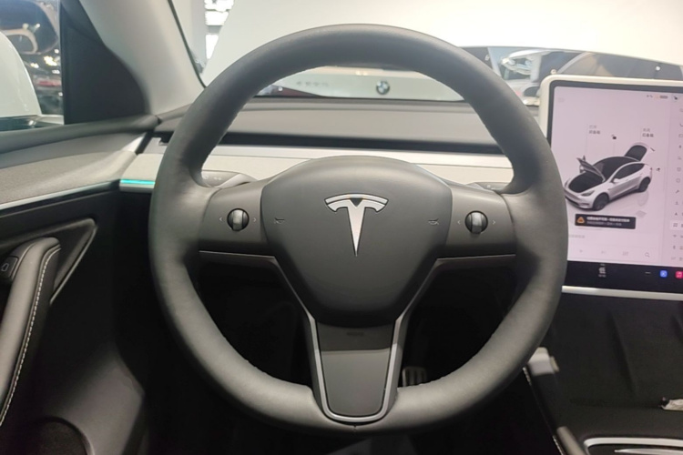 Tesla Model Y 2024 car image #15