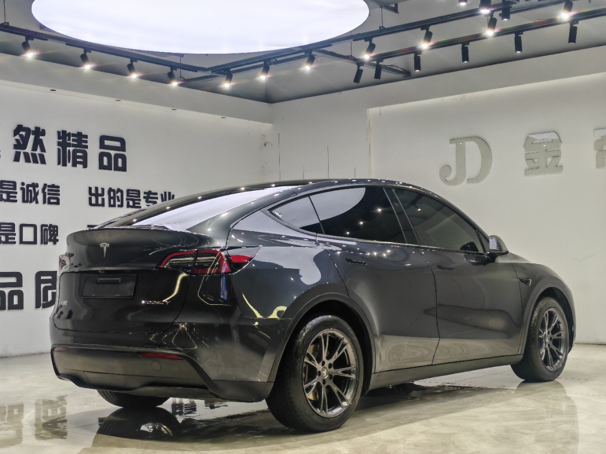 Tesla Model Y 2024 car image #9