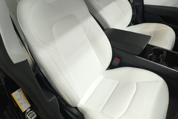 Tesla Model 3 2020 car image #24