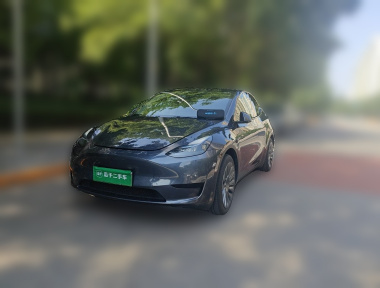 Tesla Model Y 2022 car image 