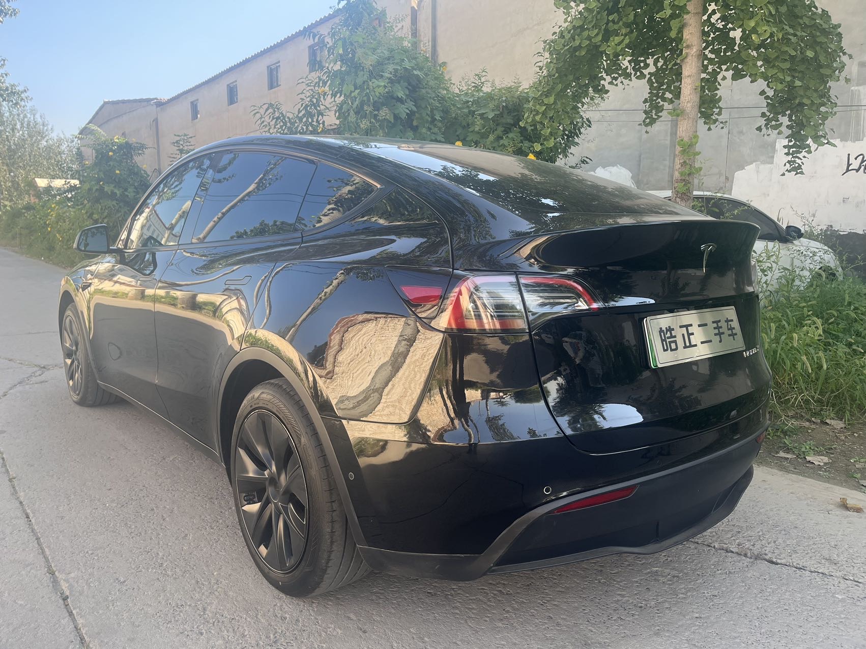 Tesla Model Y 2023 car image #5