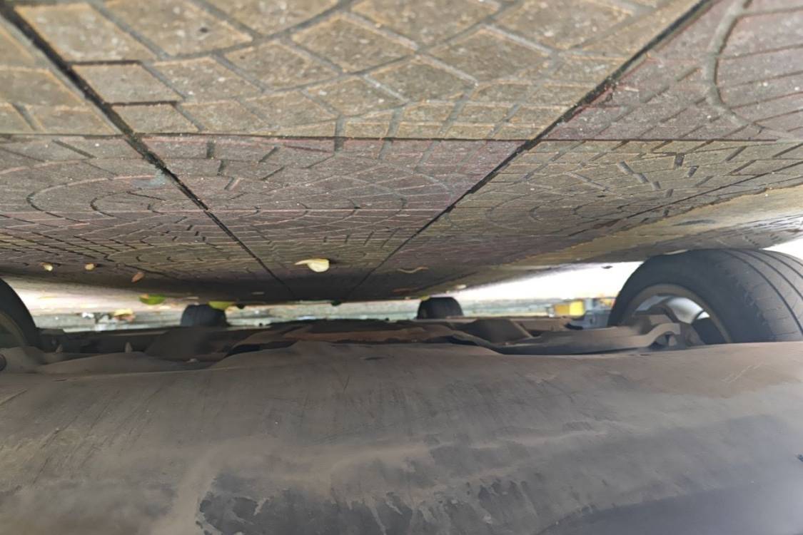 Tesla Model 3 2020 car image #14