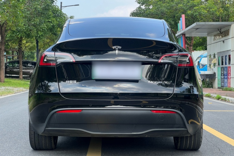Tesla Model Y 2021 #5 Tesla Model Y 2021 immagine di auto #5