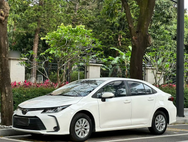Toyota Corolla 2020 Toyota Corolla 2020 car image