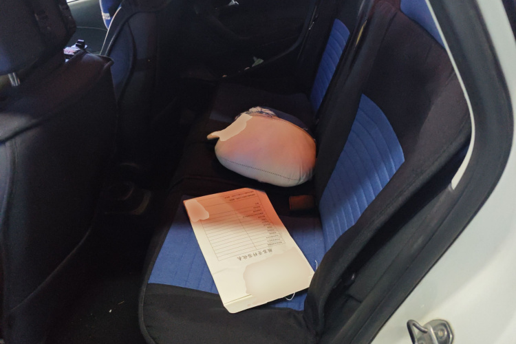 大众 Polo 2018 汽车图片 #17