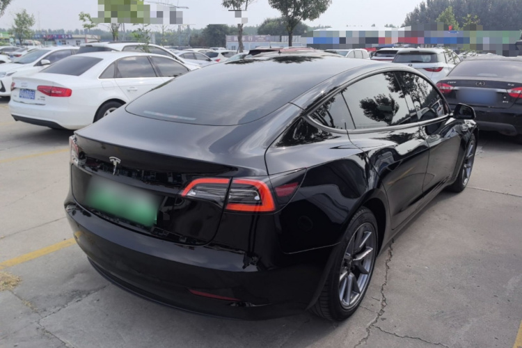 Tesla Model 3 2021 #7 Tesla Model 3 2021 car image #7