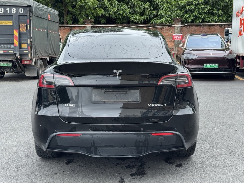 Tesla Model Y 2021 car image #9