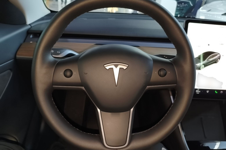 Tesla Model 3 2020 car image #11