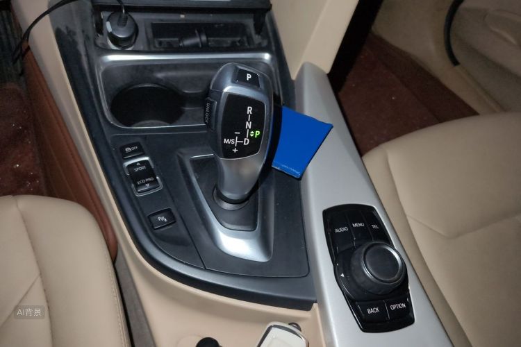 BMW 3 Series 2014 car image #16