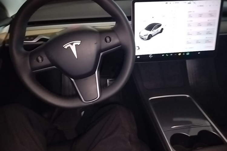 Tesla Model Y 2023 car image #10