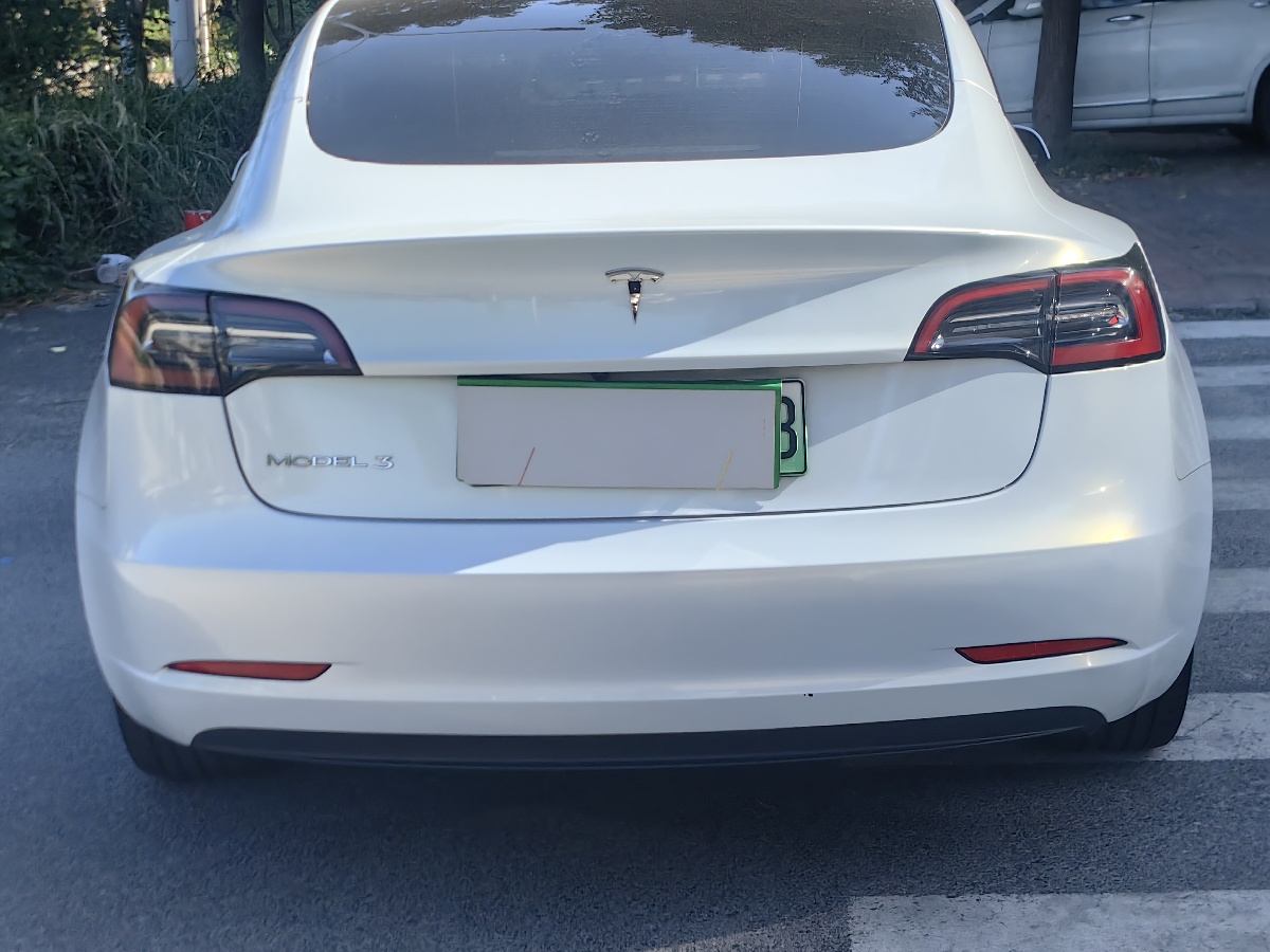 Tesla Model 3 2021 #3 Tesla Model 3 2021 car image #3