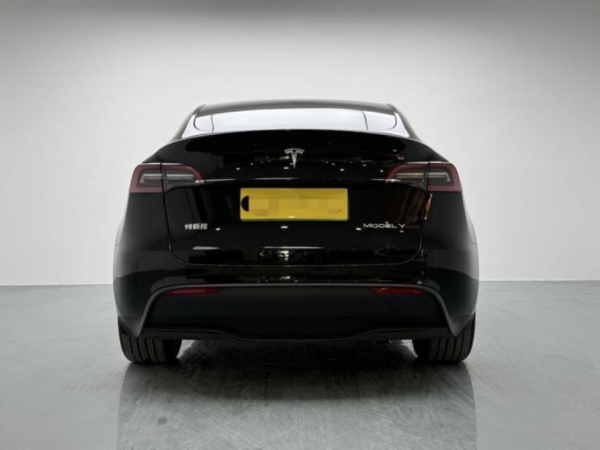 Tesla Model Y 2024 car image #11