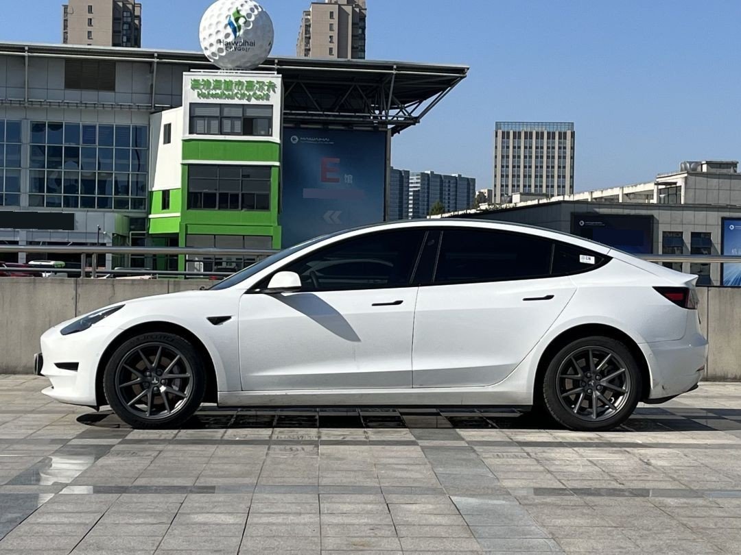 Tesla Model 3 2021 car image #8