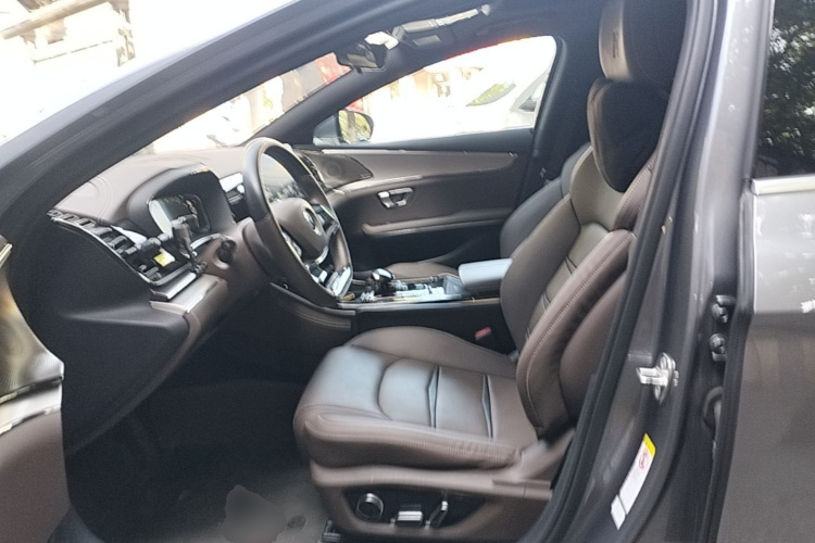 BYD Han 2021 immagine di auto #15