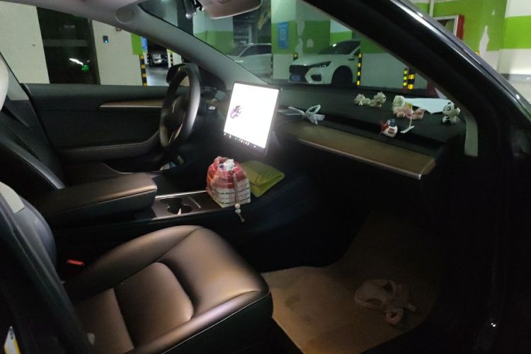 Tesla Model 3 2021 #23 Tesla Model 3 2021 car image #23