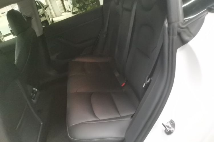 Tesla Model 3 2021 car image #17