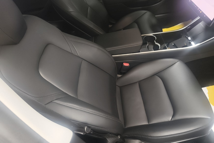 Tesla Model 3 2020 car image #24