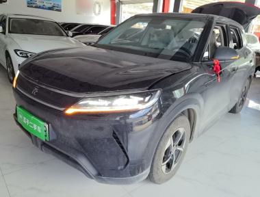 BYD YuanUP 2024 car image 