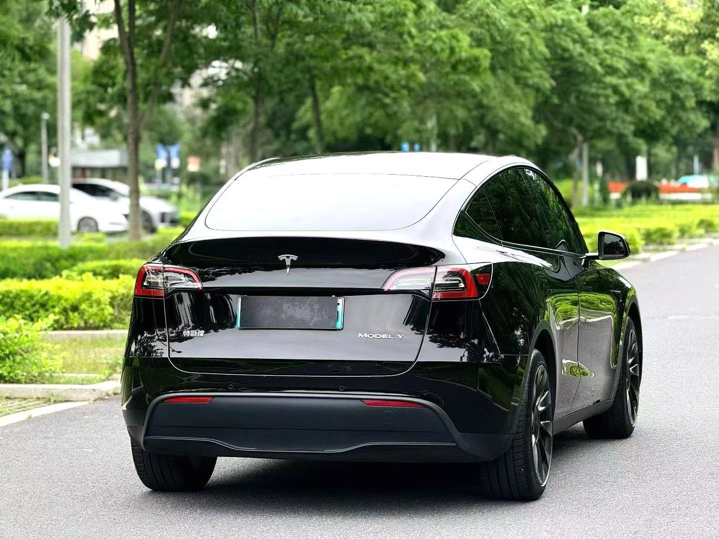 Tesla Model Y 2022 car image #8