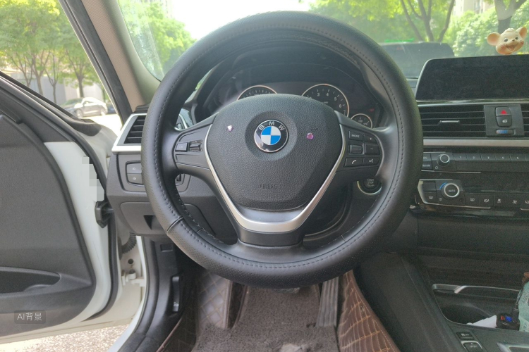 BMW 3 Series 2018 car image #12
