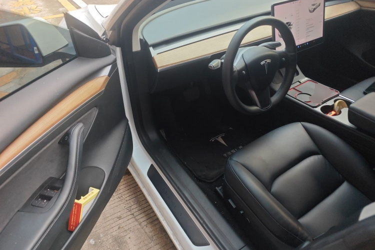 Tesla Model 3 2021 #9 Tesla Model 3 2021 car image #9