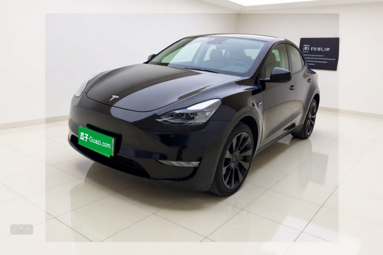 Tesla Model Y 2021 #2 Tesla Model Y 2021 car image #2
