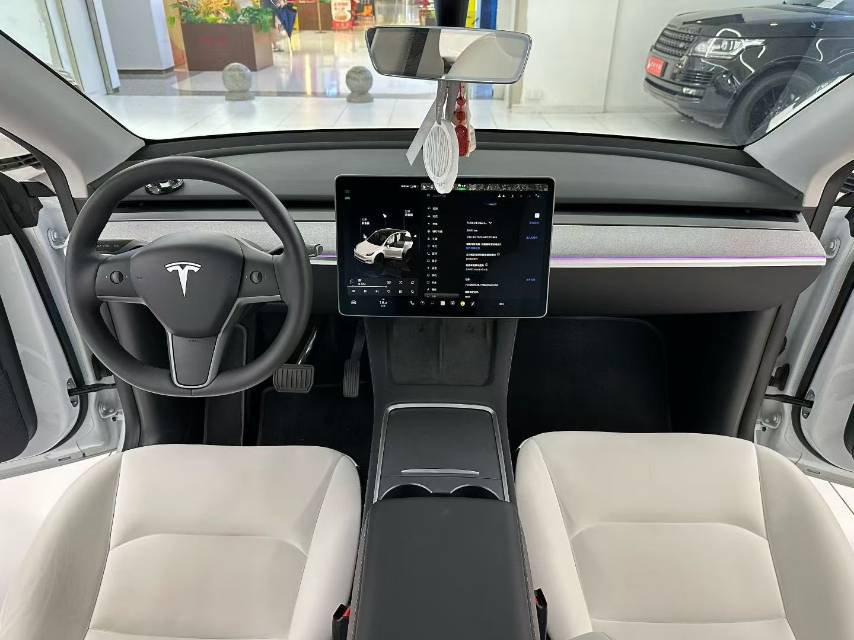 Tesla Model Y 2024 car image #8