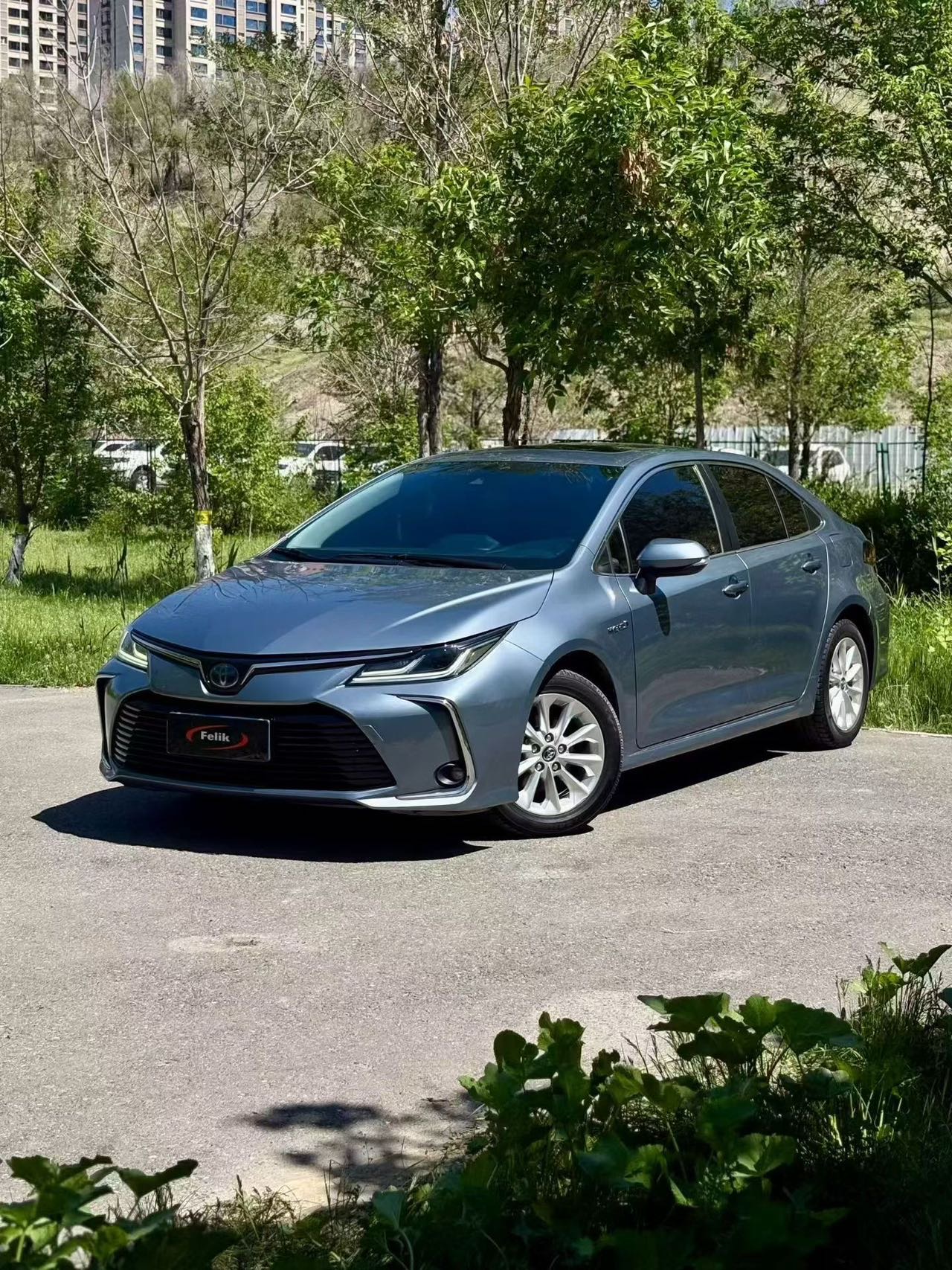 Toyota Corolla Hybird E+ 2019 Toyota Corolla Hybird E+ 2019 immagine di auto