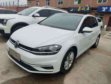 Volkswagen Golf 2019 car image 