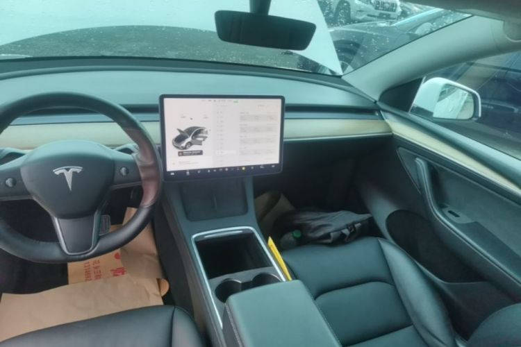 Tesla Model Y 2021 car image #13