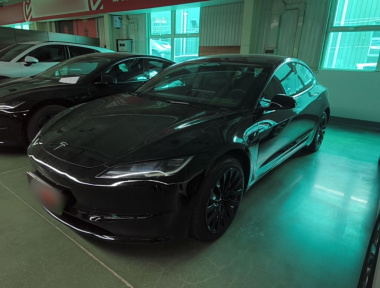 Tesla Model 3 2024 Tesla Model 3 2024 car image
