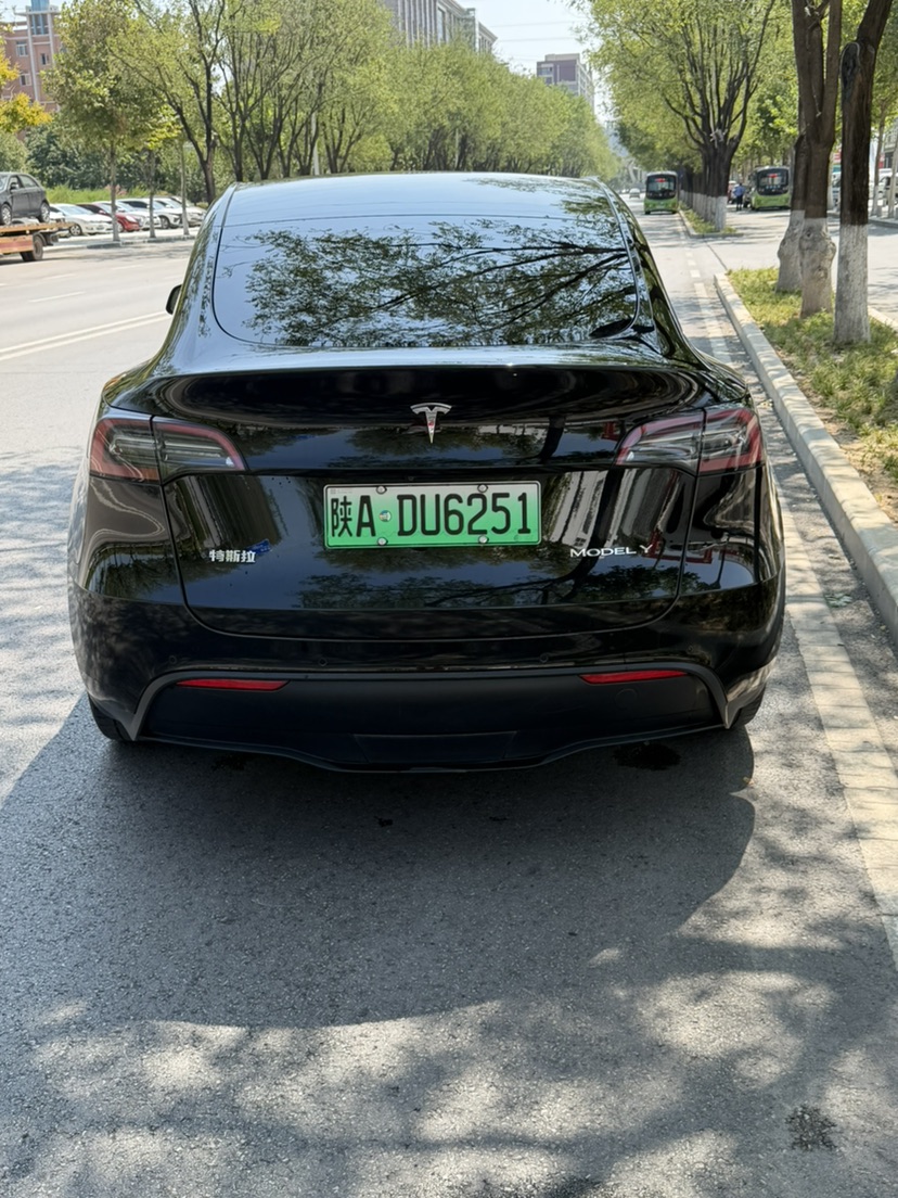 Tesla Model Y 2023 car image #6