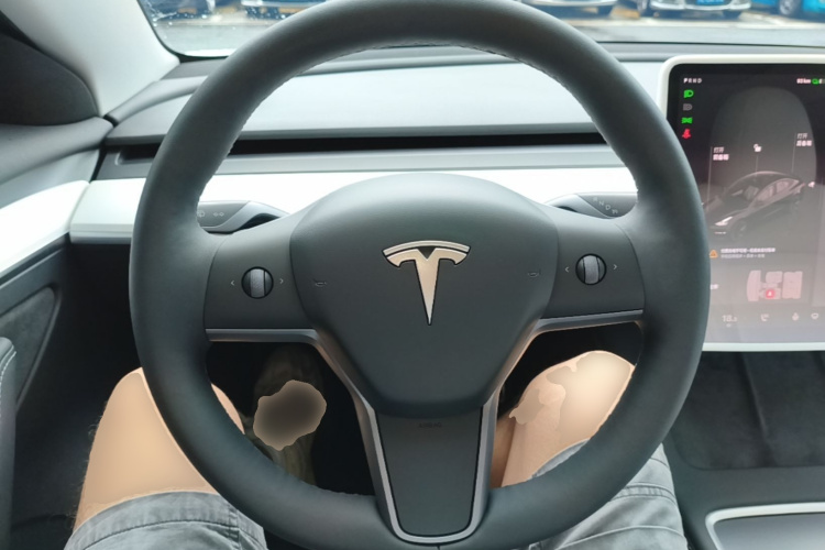 Tesla Model 3 2023 #11 Tesla Model 3 2023 car image #11